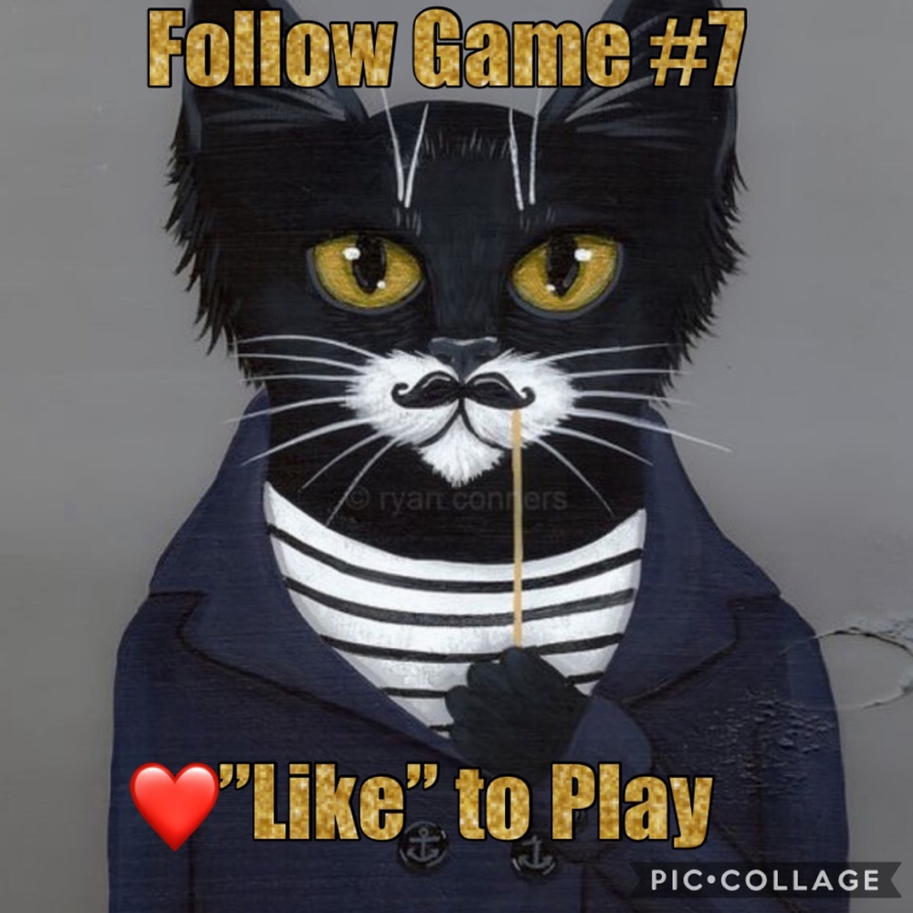 💥 Follow Game #7 ish💥-Like2play. Tag,Share